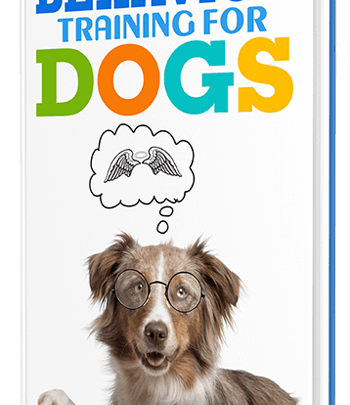 Brain-Training-for-Dogs-review